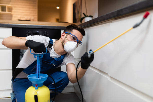 Best Wildlife Control Services  in North Aurora, IL