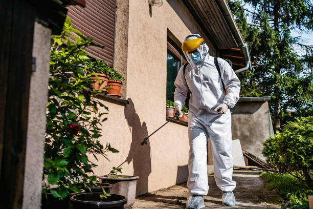 Best Pest Inspection Near Me  in North Aurora, IL