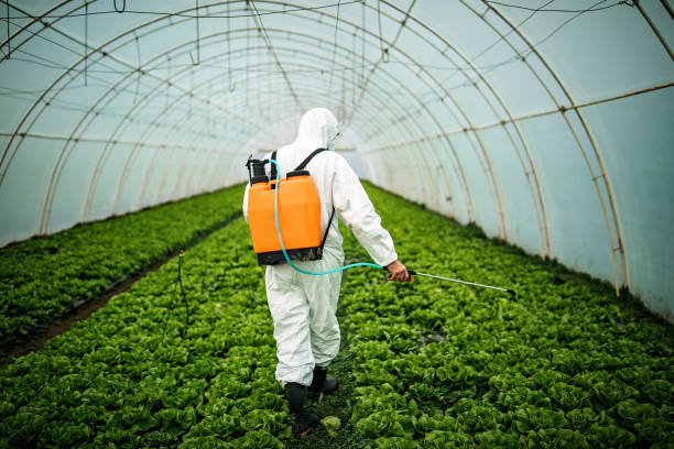 Best Emergency Pest Control  in North Aurora, IL