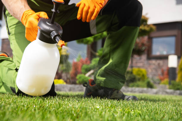 Best Bed Bug Extermination  in North Aurora, IL