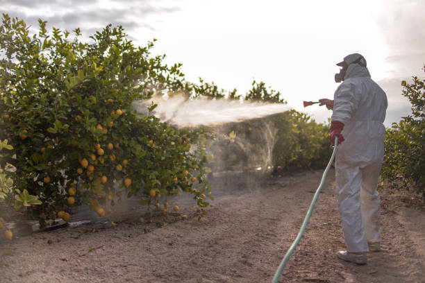 Best Pest Removal Services  in North Aurora, IL