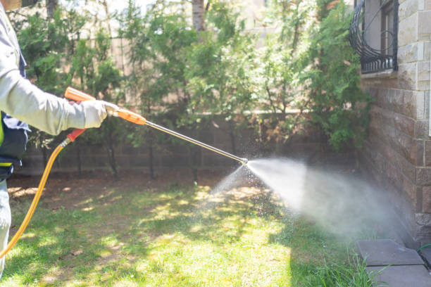 Bird Control in North Aurora, IL