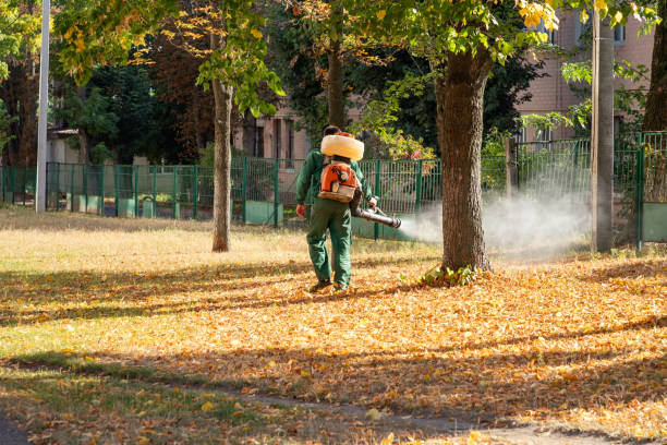 Best Exterminator Services  in North Aurora, IL
