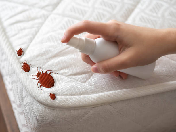 Best Pest Control Near Me in North Aurora, IL