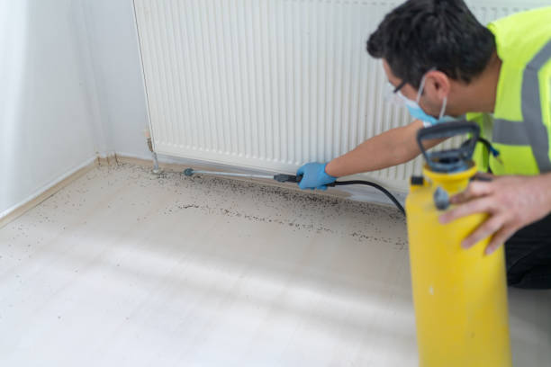 Best Cockroach Control Services  in North Aurora, IL