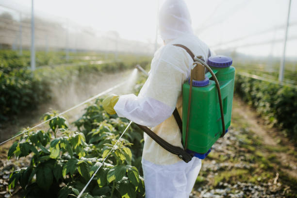 Best Cockroach Control Services  in North Aurora, IL